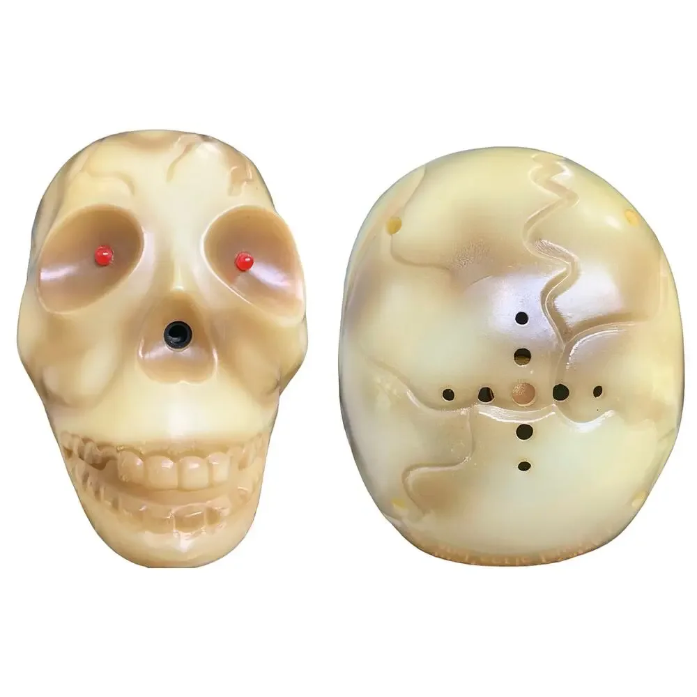 Halloween Bundle: Skeleton Shirt 2Xl, Vincent the Living Skull, Sugar Skull  Mug - Picture 9 of 12